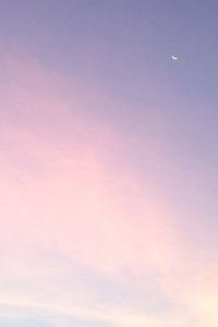 瓦伦西亚主场负于对手，战绩不容乐观：从赛场解读球队未来