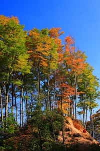 利物浦新援在德国联赛上演帽子戏法