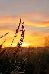 联赛鏖战：冠军之争点燃整个赛季